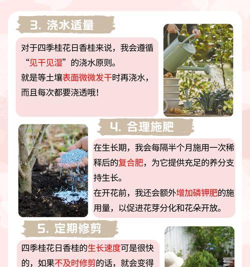 四季桂的冬季养护方法和常见问题有哪些？