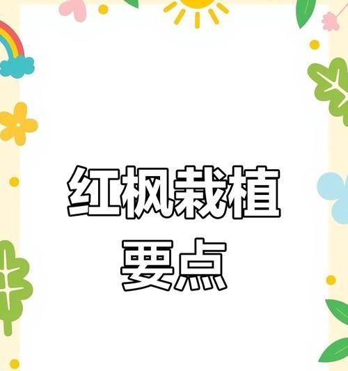 红枫种植技巧有哪些？红枫种植过程中需要注意什么？
