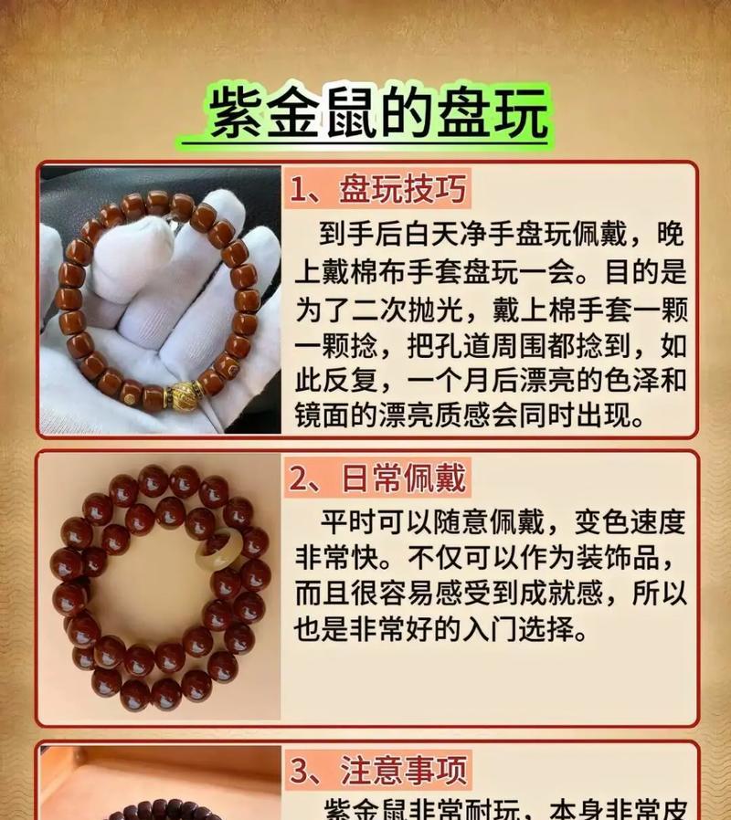 紫佛珠的养殖技巧是什么？
