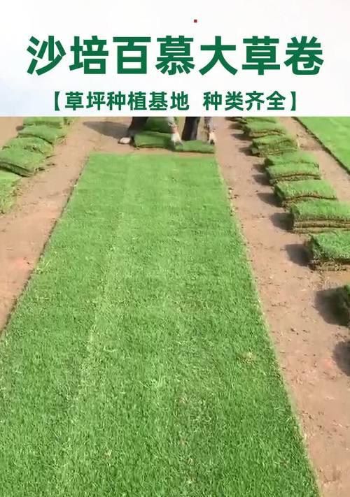 沙培植物有哪些种类？沙培植物的养护方法是什么？