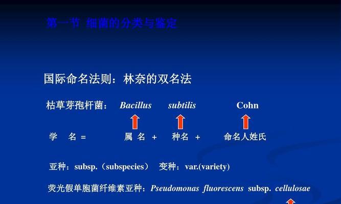 种变种亚种品种有何区别？如何区分种变种亚种品种？