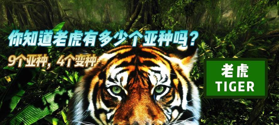 种变种亚种品种有何区别？如何区分种变种亚种品种？