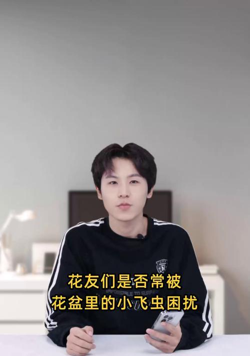 花草出现小飞虫问题如何解决？