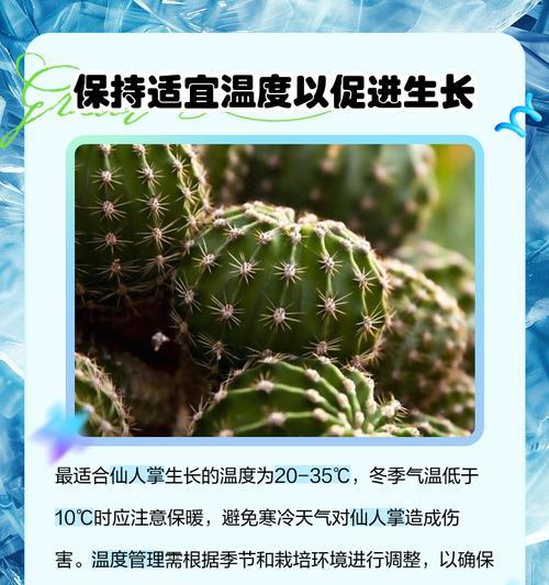 仙人掌种子播种方法是什么？