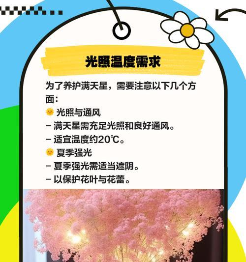 满天星种植方法是什么？如何确保满天星顺利生长？