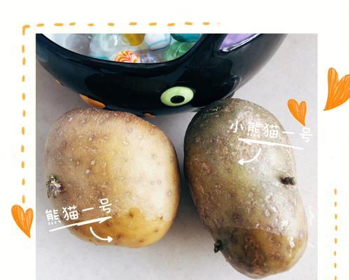 土豆盆景的制作过程是怎样的？