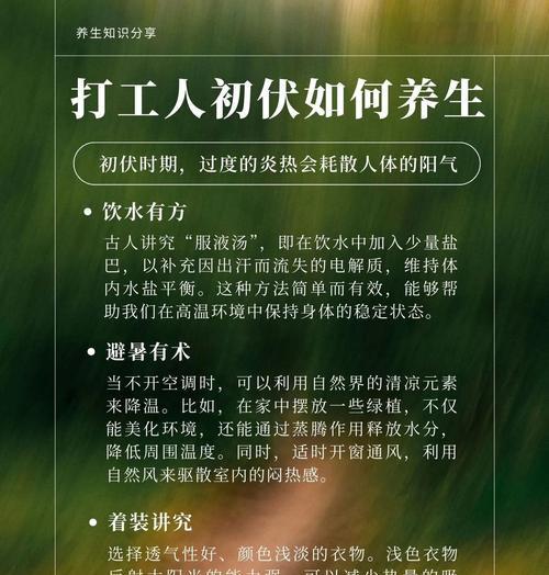 夏季植物养护需要注意什么？如何避免高温伤害？