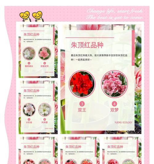 进口朱顶红有哪些品种？朱顶红品种选择与养护方法？