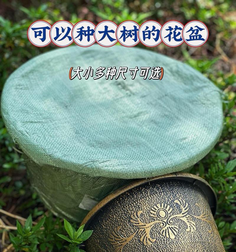 选择花盆大小的标准是什么？