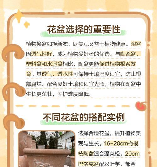 选择花盆大小的标准是什么？