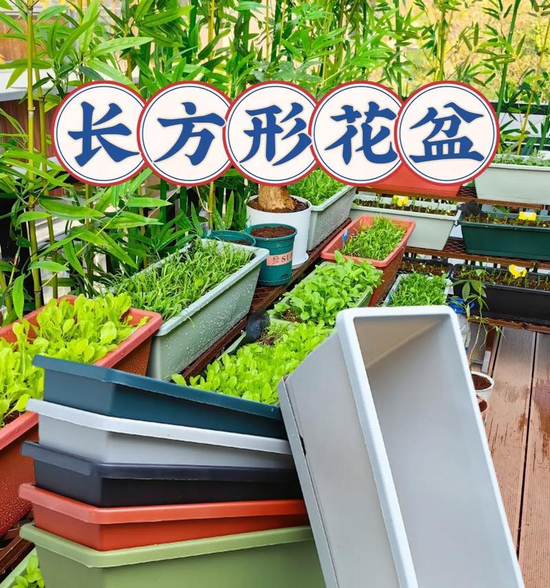 选择花盆大小的标准是什么？