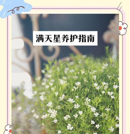 满天星的制作过程和技巧是什么？