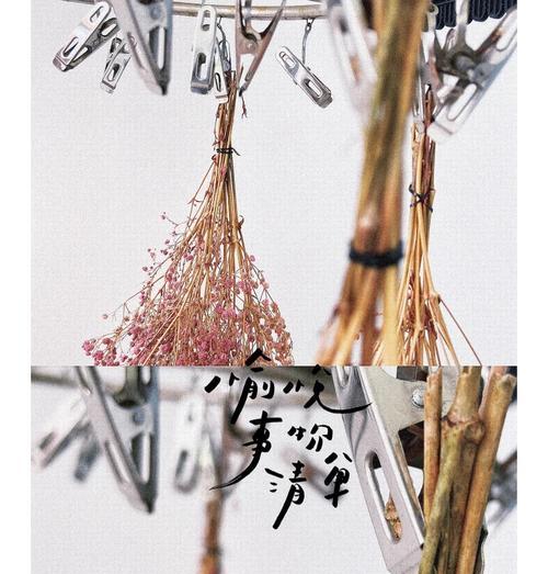 满天星的制作过程和技巧是什么？