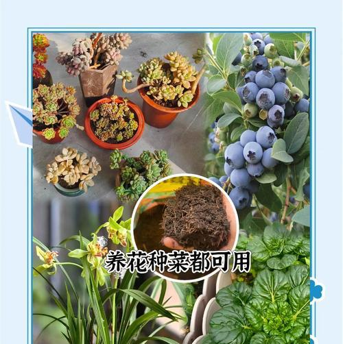 什么叫腐叶土？腐叶土的制作方法是什么？