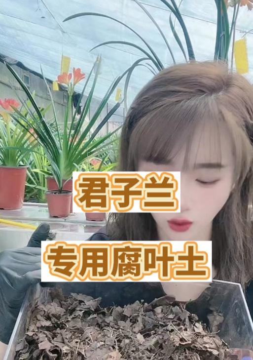 什么叫腐叶土？腐叶土的制作方法是什么？
