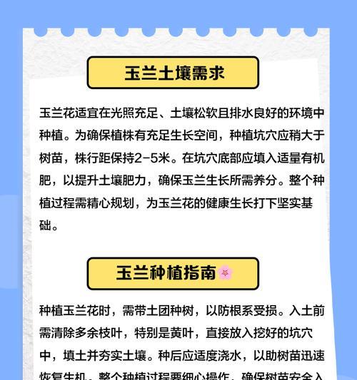 玉兰花种植的正确方法是什么？