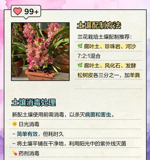 兰花的种植与养护技巧有哪些？