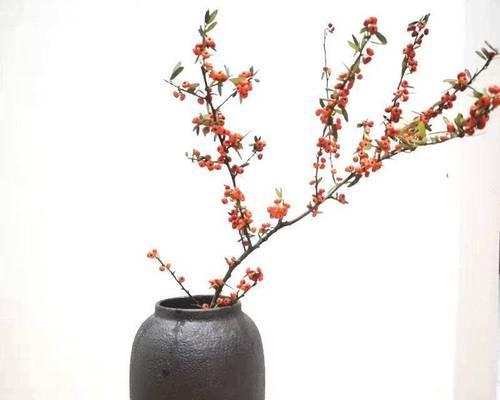 插花需要什么？云南种什么花？