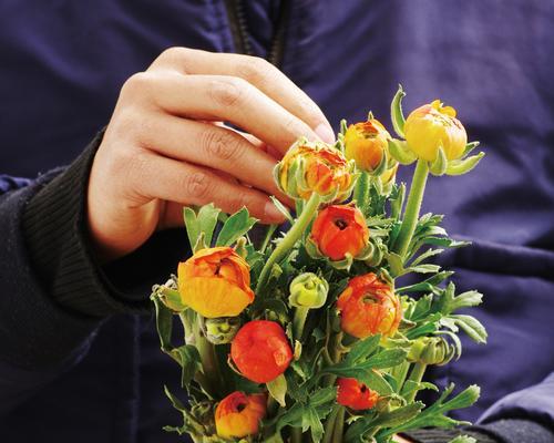 插花需要什么？云南种什么花？