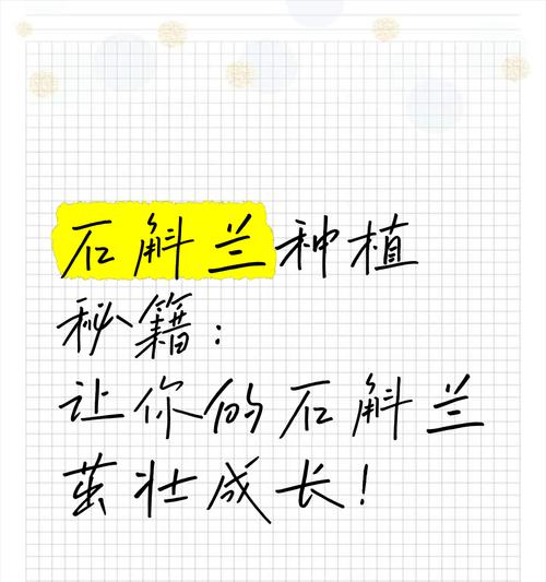 石斛木上种植的步骤是什么？怎样保证石斛在木头上生长良好？